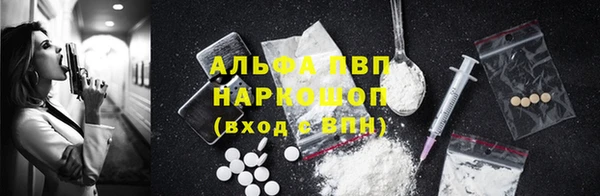 индика Вязники