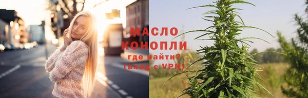 индика Вязники