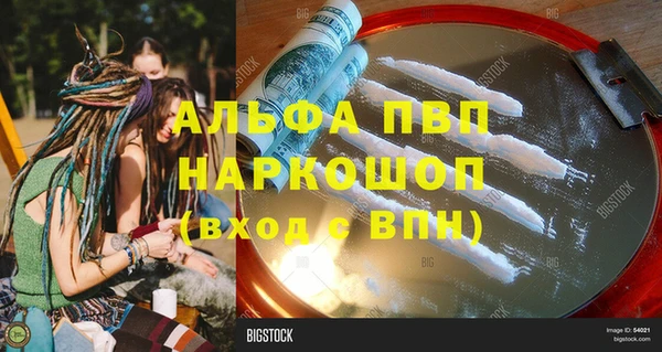 индика Вязники