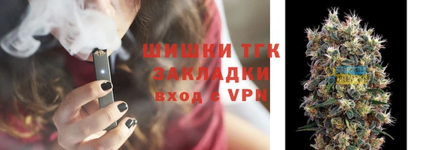 индика Вязники