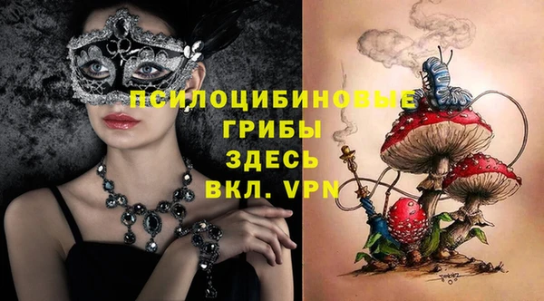 мет Вяземский