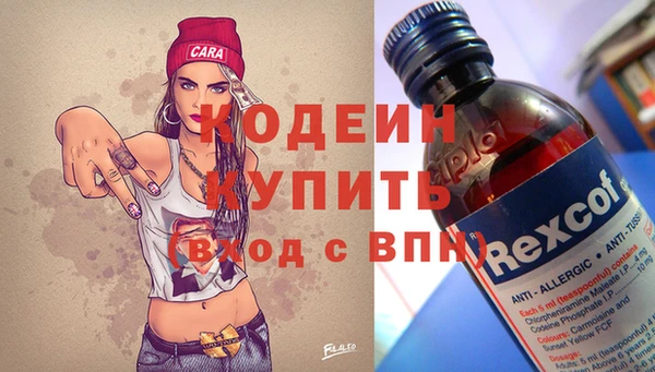 индика Вязники
