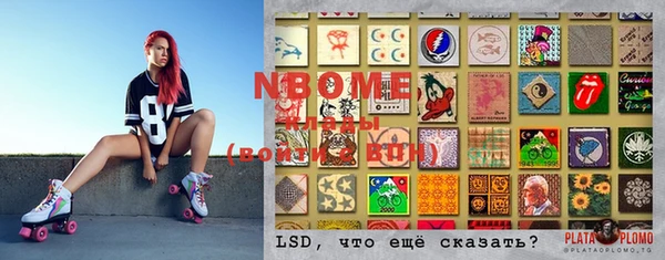 индика Вязники