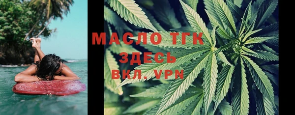 индика Вязники