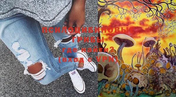 индика Вязники