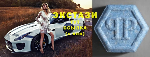индика Вязники
