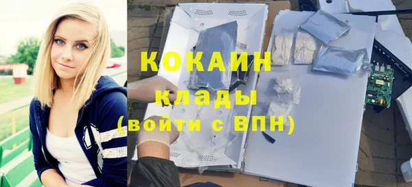 индика Вязники