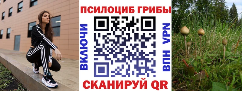 Купить где Новопавловск Галлюциногенные грибы Magic Shrooms