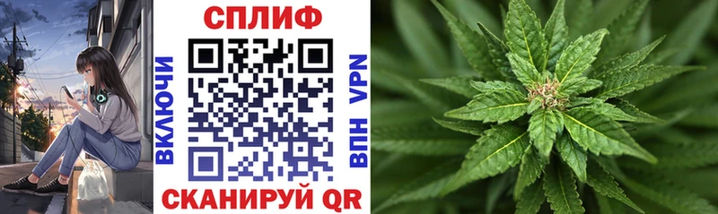 Купить где  Новопавловск  Канабис White Widow 